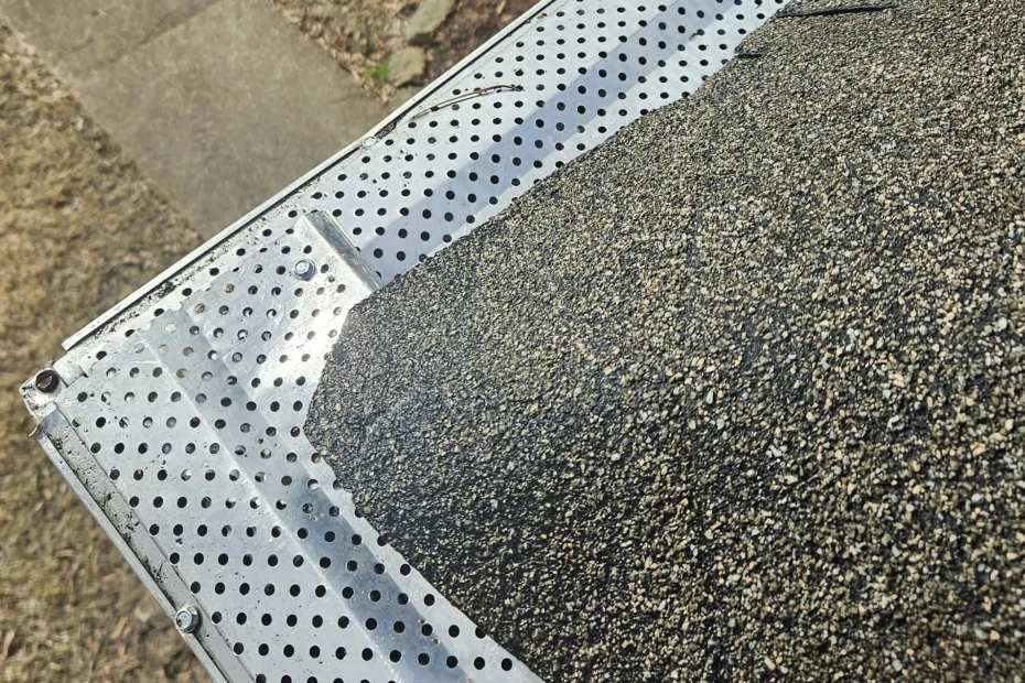 Fairfax Gutter Cleaning